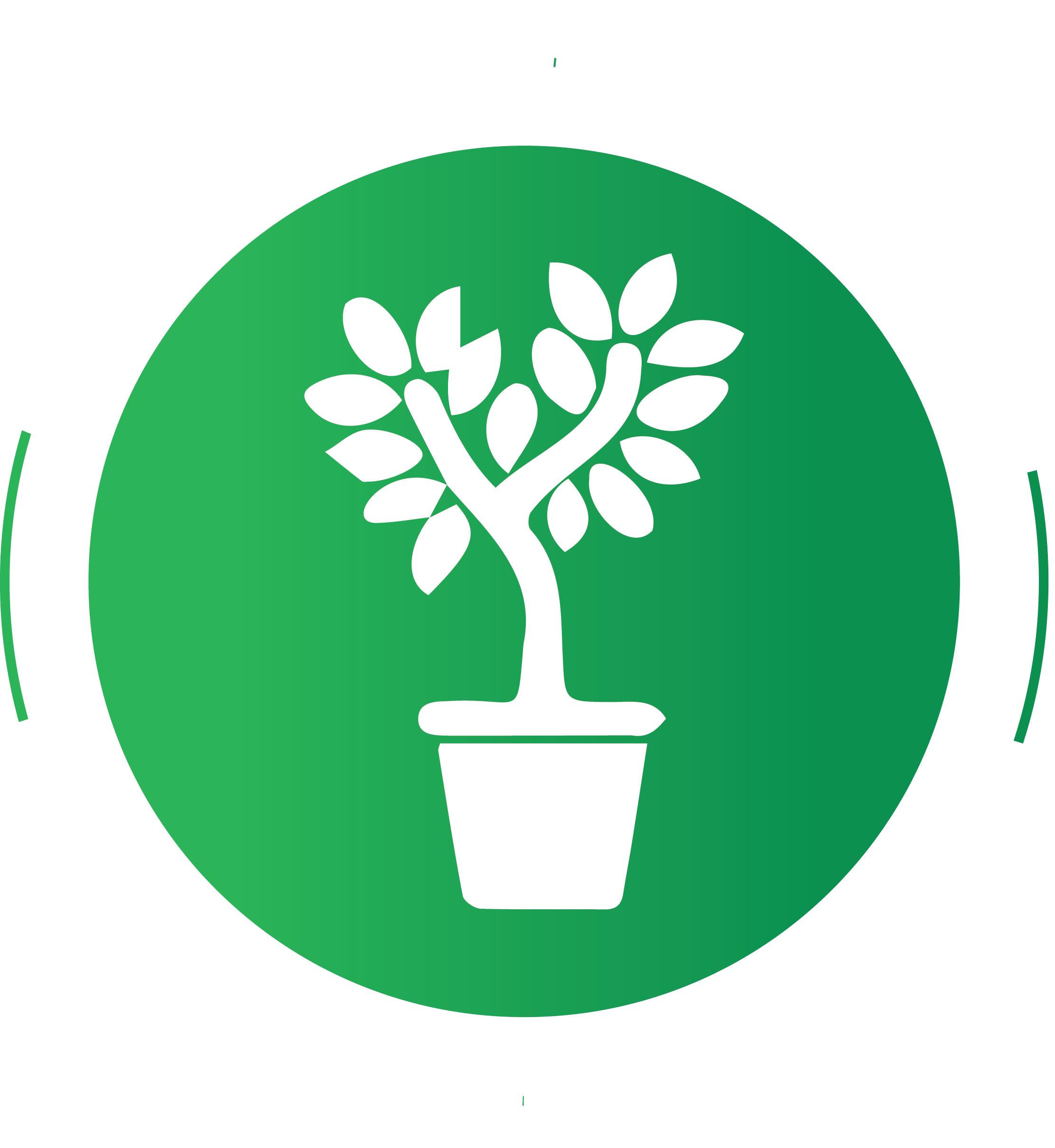 Plant Palace